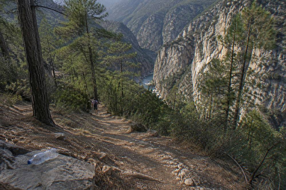 Dry pine forest trail above a canyon in the Sierra de Santiago under a clear morning sky