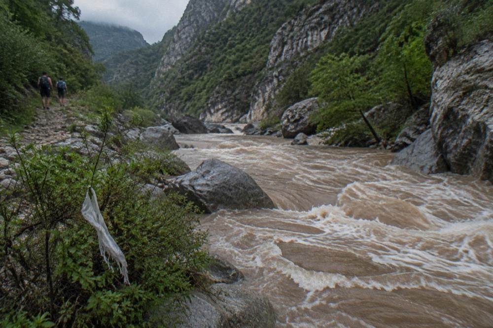 Swollen mountain river carrying brown water between boulders in a forested canyon