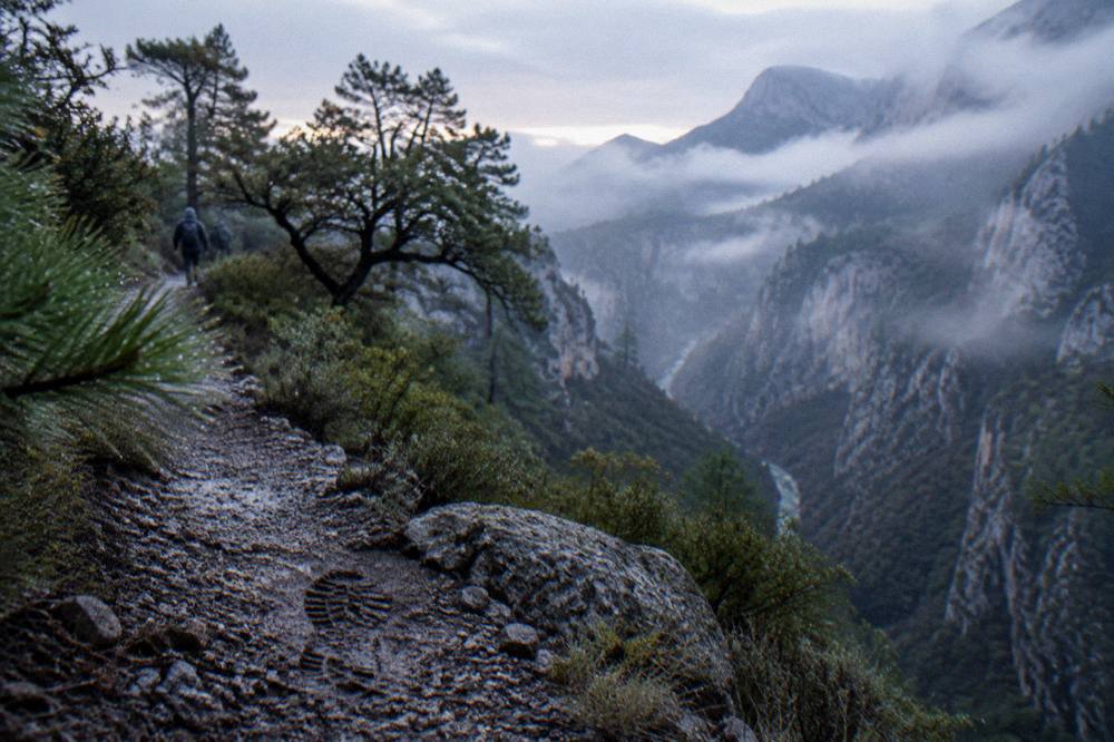 Pine forest ridge above a deep canyon with morning mist in the Sierra de Santiago