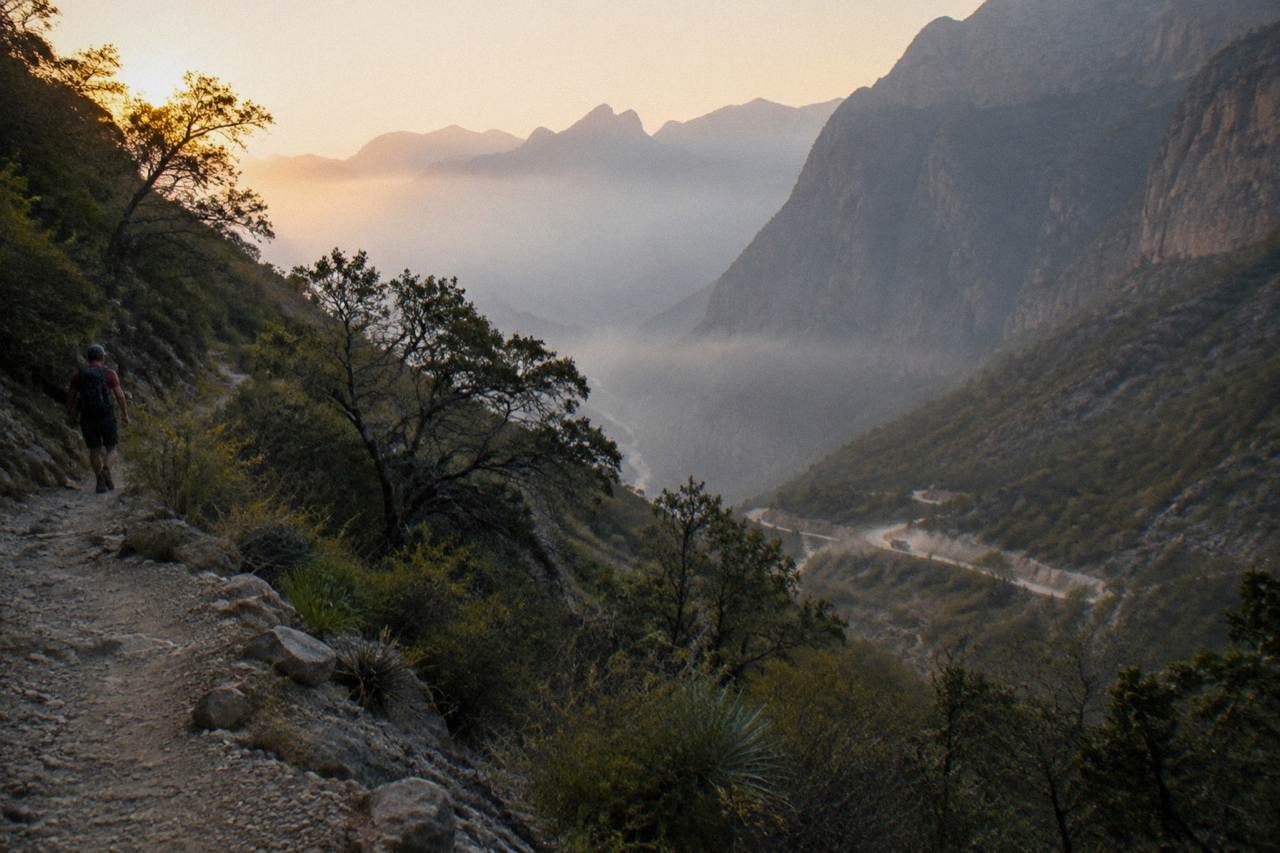 Winding mountain road through pine forest toward the Sierra de Santiago at dawn