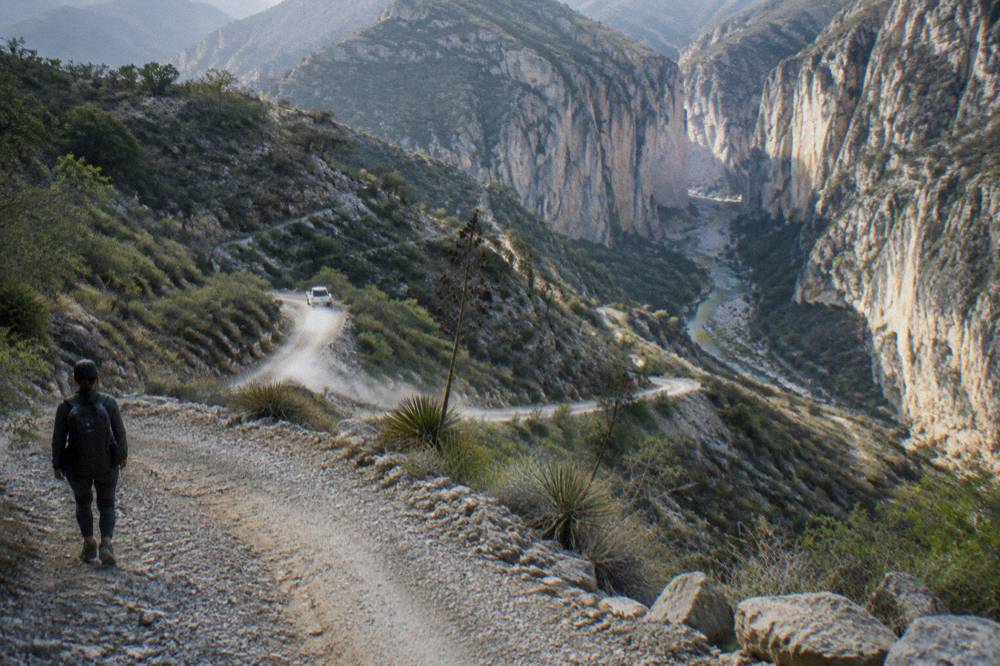 Mountain road winding toward canyon walls in morning light